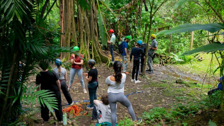 Edukacja ekologiczna a zmiany klimatu: jak wpływać na środowisko?