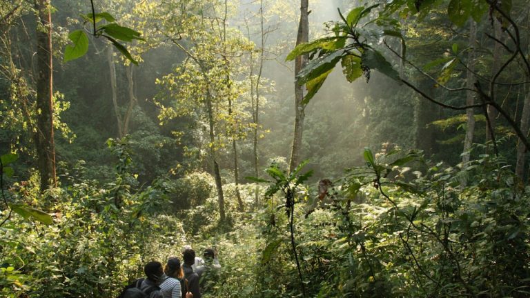 Edukacja ekologiczna a zmiany klimatu: jak wprowadzić pozytywne zmiany