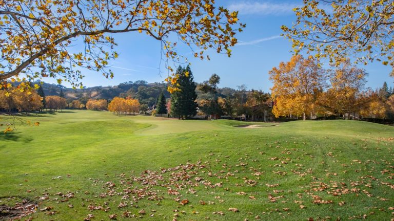 Zmiany demograficzne a polityka: wyzwania i perspektywy