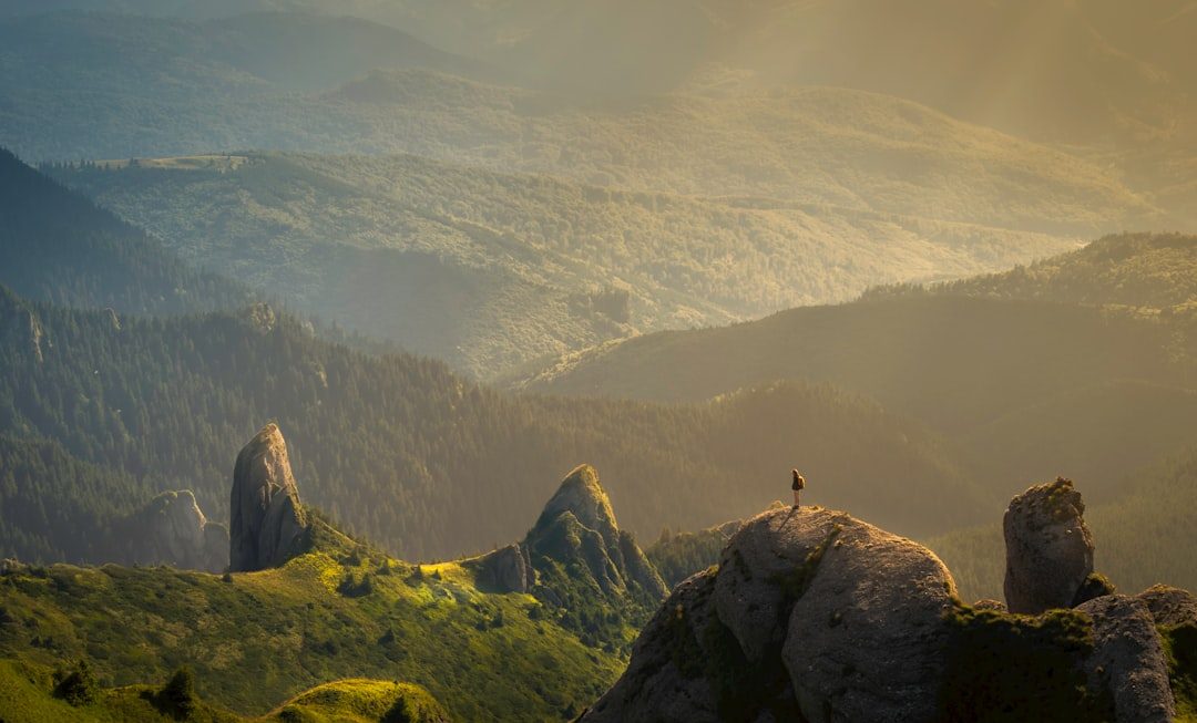 Photo civil society development