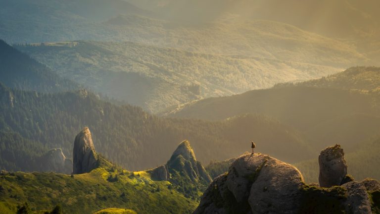 Rozwój społeczeństwa obywatelskiego: wyzwania i perspektywy