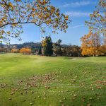 Photo bipolar disorder