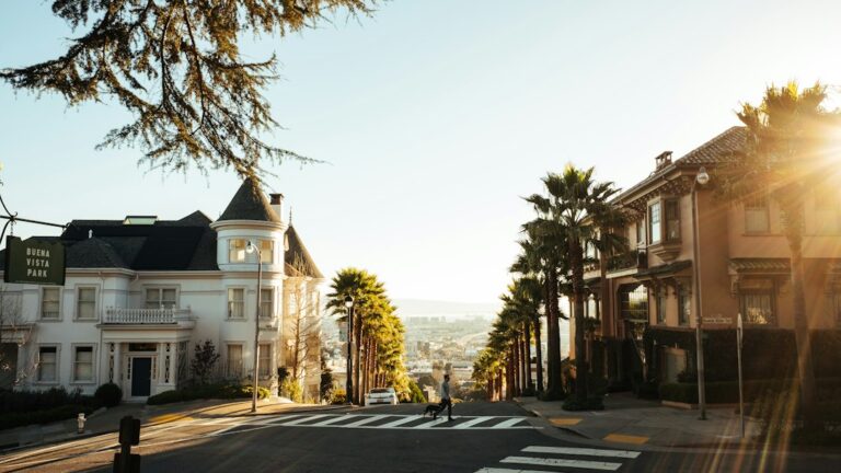 Odkryj growkity: tajemnicza sztuka wzrostu