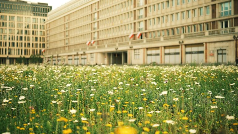 Ochrona konsumentów i prawa społeczne: Wsparcie dla obywateli