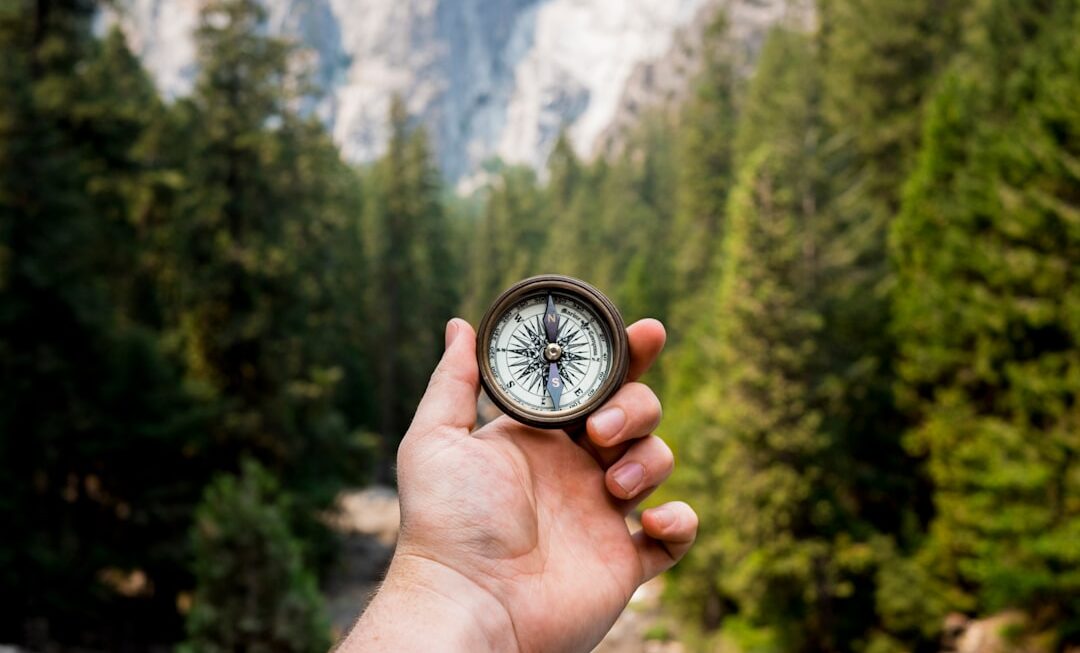 Różnice między psychologią a coachingiem